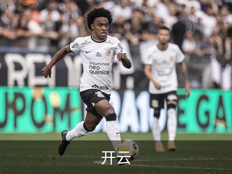 开云简介